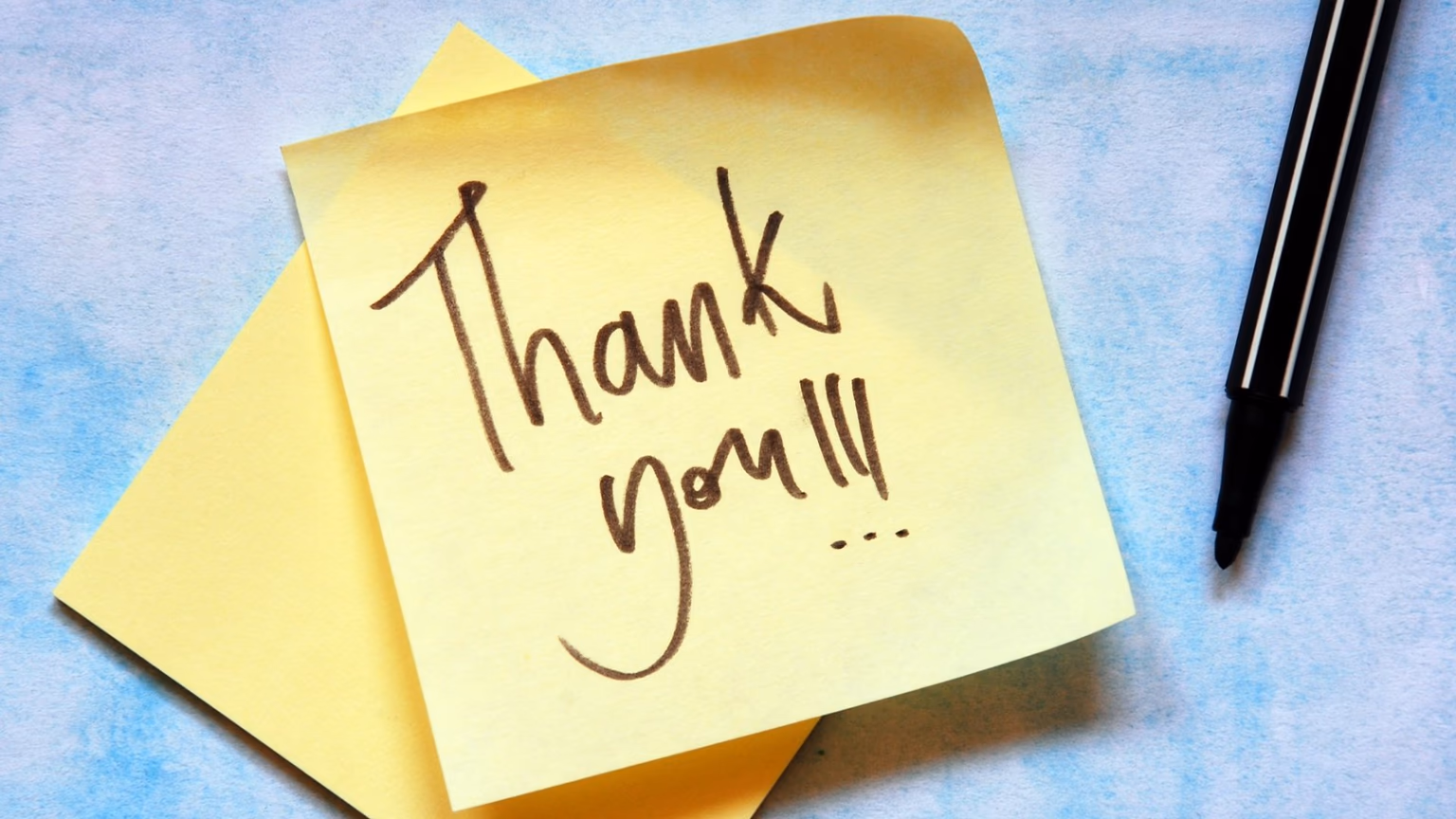 Thank you banner graphic